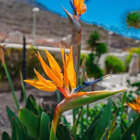 Impresionante Con Vistas Panoramicas Villa *